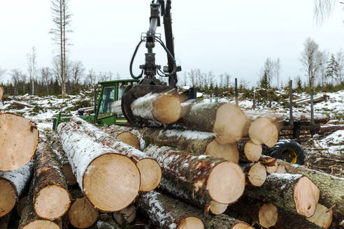 Forstmaschine bei der Arbeit - JOHF08609