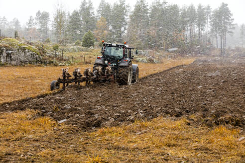 Traktor pflügt Feld - JOHF08615