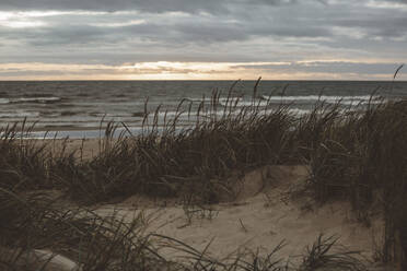 Blick auf den Sandstrand - JOHF08619