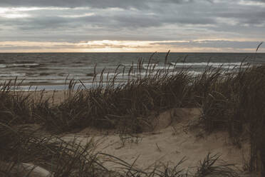 View of sandy beach - JOHF08619