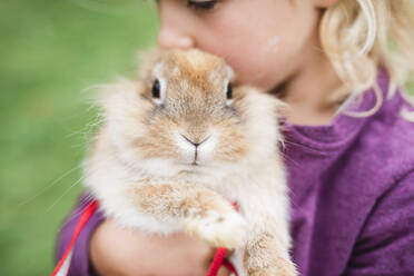 Girl with rabbit - JOHF08646