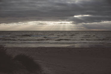 Blick auf den Sandstrand - JOHF08678