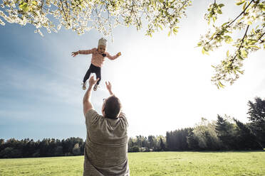 Father throwing little daughter up in air - WFF00262