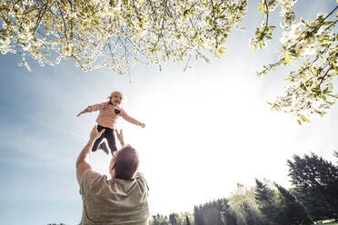 Father throwing little daughter in air - WFF00263