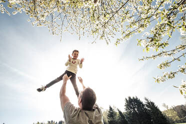Father throwing happy son in air - WFF00264
