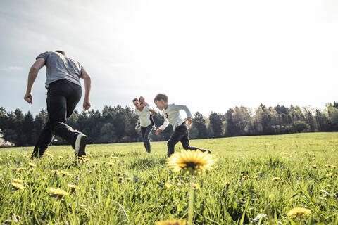 Familie mit zwei Kindern, die gemeinsam auf einer Frühlingswiese Spaß haben, lizenzfreies Stockfoto