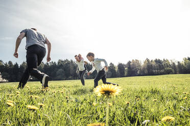 Familie mit zwei Kindern, die gemeinsam auf einer Frühlingswiese Spaß haben - WFF00270