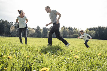 Familie mit zwei Kindern, die gemeinsam auf einer Frühlingswiese Spaß haben - WFF00271