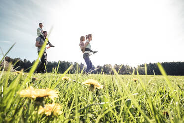 Glückliche Familie mit zwei Kindern auf einer Wiese im Frühling - WFF00279