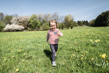 Portrait of happy little girl running on a meadow - WFF00286
