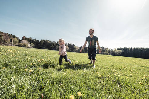 Vater und kleine Tochter haben Spaß zusammen auf einer Wiese im Frühling - WFF00287
