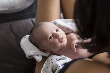 Mother cradling cute newborn baby son - HOXF04928