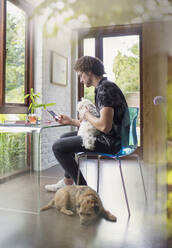 Young man with dogs working at desk in home office - HOXF04994