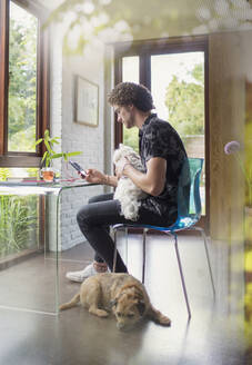 Junger Mann mit Hunden bei der Arbeit am Schreibtisch im Heimbüro - HOXF04994