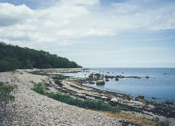 Kieselstrand - JOHF08830