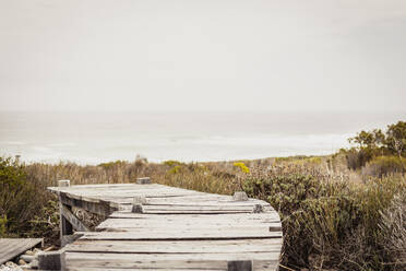 Boardwalk at the coast, Grotto Bay, South Africa - SDAHF00527