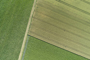 Germany, Bavaria, Drone view of green countryside fields in summer - RUEF02615