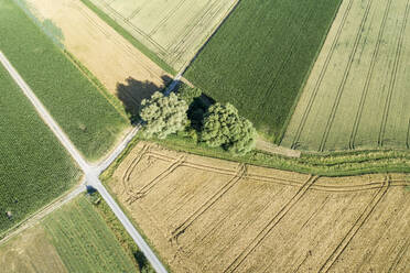 Germany, Bavaria, Drone view of patchwork fields in summer - RUEF02616