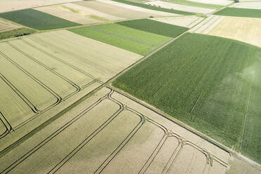 Deutschland, Bayern, Drohnenansicht von Patchworkfeldern im Sommer - RUEF02617