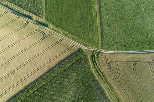 Germany, Bavaria, Drone view of patchwork fields in summer - RUEF02622