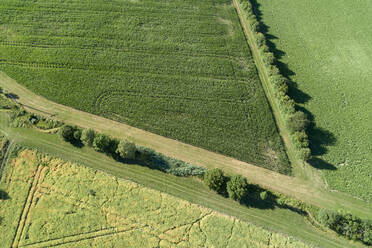 Deutschland, Bayern, Drone Blick auf grüne Landschaft Felder im Sommer - RUEF02624