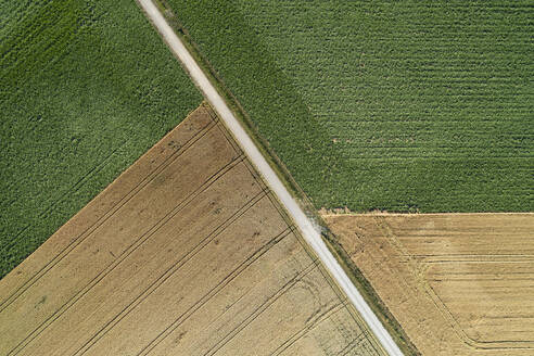 Deutschland, Bayern, Drohnenansicht einer Landstraße, die durch grüne und gelbe Felder im Sommer führt - RUEF02625