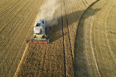 Deutschland, Bayern, Drohnenansicht eines Mähdreschers bei der Arbeit auf einem Feld - RUEF02629