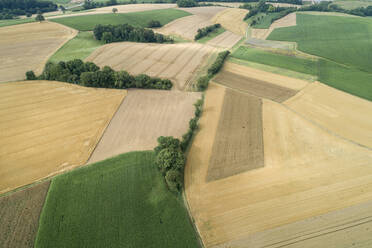 Deutschland, Bayern, Drone Blick auf grüne und gelbe Landschaft Felder im Sommer - RUEF02633