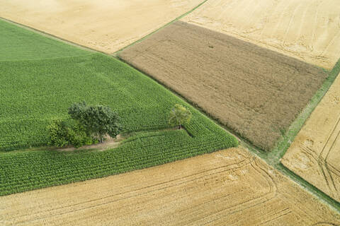 Deutschland, Bayern, Drone Blick auf grüne und gelbe Landschaft Felder im Sommer, lizenzfreies Stockfoto