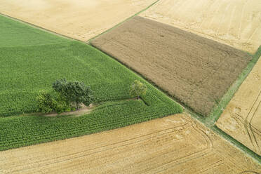 Germany, Bavaria, Drone view of green and yellow countryside fields in summer - RUEF02637