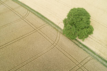 Deutschland, Baden-Württemberg, Drohnenansicht von weiten Feldern im Sommer - RUEF02640