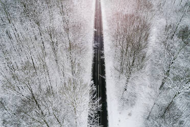 Road in forest in winter - JOHF08959