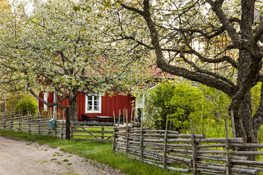 Wooden house at spring - JOHF09051