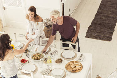 Familie und Freunde beim gemeinsamen Mittagessen - SDAHF00631