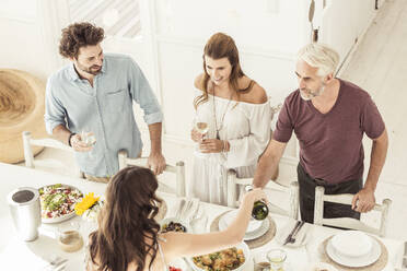 Family and friends having lunch together - SDAHF00633