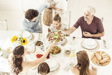 Familie und Freunde beim gemeinsamen Mittagessen - SDAHF00636