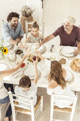 Family having lunch together clinking wine glasses - SDAHF00638