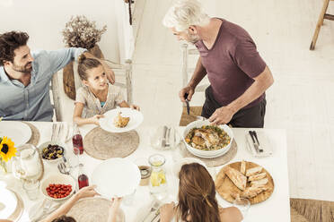 Familie und Freunde beim gemeinsamen Mittagessen - SDAHF00640