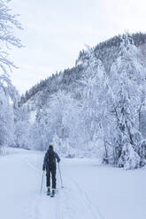 Deutschland, Bayern, Reit im Winkl, Rucksacktouristin beim Skifahren im Winterwald - MMAF01256