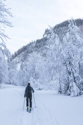 Germany, Bavaria, Reit im Winkl, Female backpacker skiing in winter forest - MMAF01256