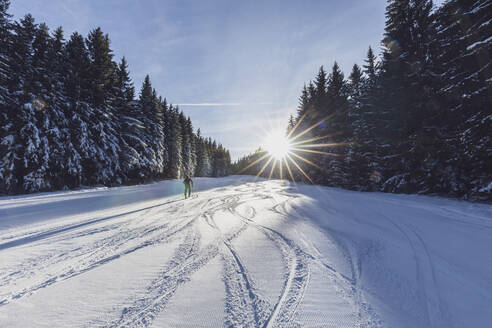 Deutschland, Bayern, Reit im Winkl, Rucksacktouristin beim Skifahren im Winterwald bei Sonnenaufgang - MMAF01261