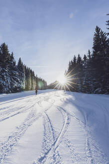 Deutschland, Bayern, Reit im Winkl, Rucksacktouristin beim Skifahren im Winterwald bei Sonnenaufgang - MMAF01262