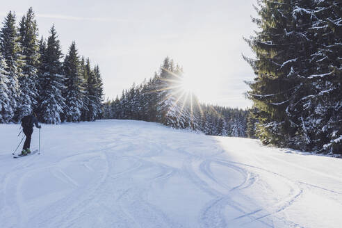 Deutschland, Bayern, Reit im Winkl, Rucksacktouristin beim Skifahren im Winterwald bei Sonnenaufgang - MMAF01263