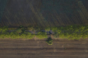 Deutschland, Brandenburg, Drohnenansicht einer mit Bäumen gesäumten Landstraße, die durch ein landwirtschaftliches Feld führt - ASCF01098