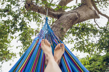 Bare feet of woman in hammock, close up - MAMF01164