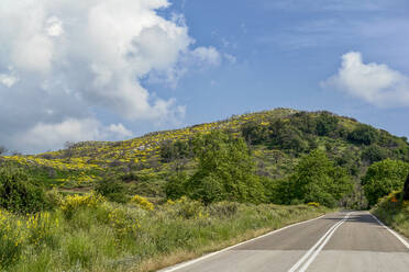 Greece, Oichalia, Empty countryside highway in spring - MAMF01173