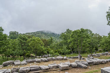 Griechenland, Oichalia, Grüner Wald von der archäologischen Stätte Bassae aus gesehen - MAMF01175