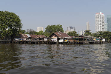 Huts at Chao Phraya river, high-rise buildings in the background, Bangkok, Thailand - CHPF00639