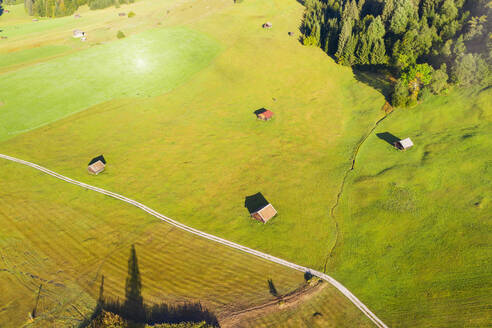 Deutschland, Bayern, Krun, Drone view of huts standing in green springingime meadow - SIEF09542