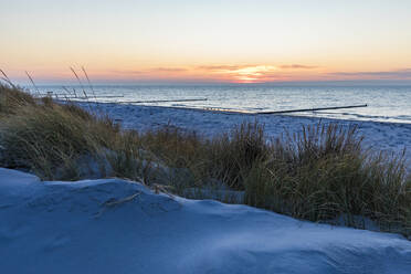 Germany, Mecklenburg-Western Pomerania, Vitte, Grassy dune on sandy coastal beach at sunset - WDF05821